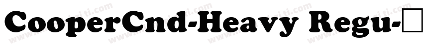 CooperCnd-Heavy Regu字体转换